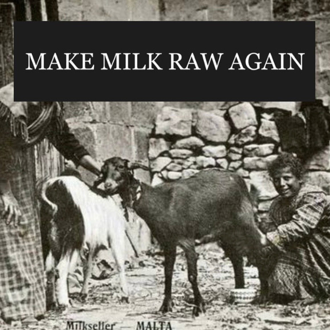 Make Milk Raw Again Bumper Sticker