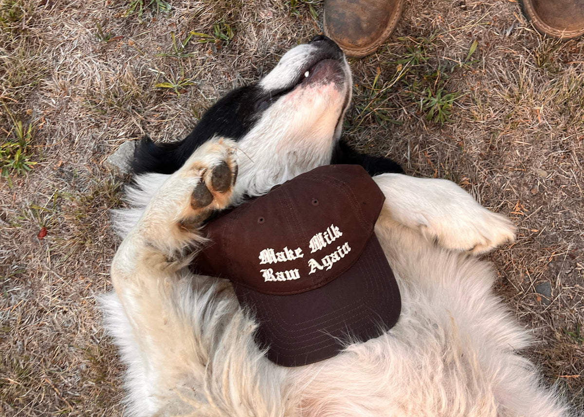 Make Milk Raw Again Hat