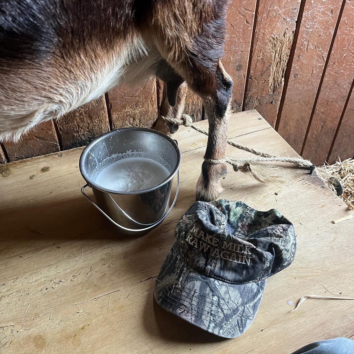 Make Milk Raw Again Hat
